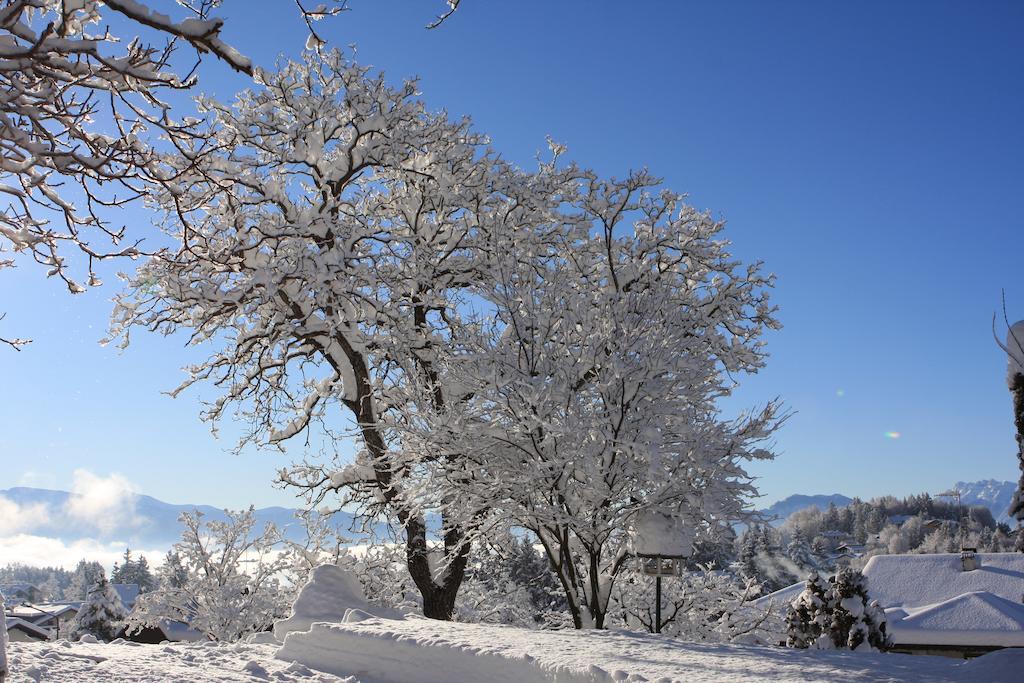 Cortalta Mountain Lodge Fai della Paganella Εξωτερικό φωτογραφία